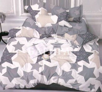 Звездная ночь вид 2