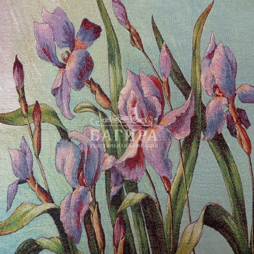Ирисы
