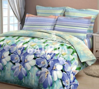 Утренние росы вид 2