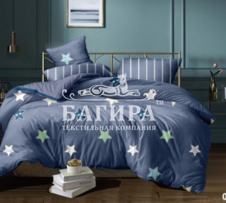 Звездная ночь вид 8