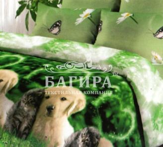 Дружба