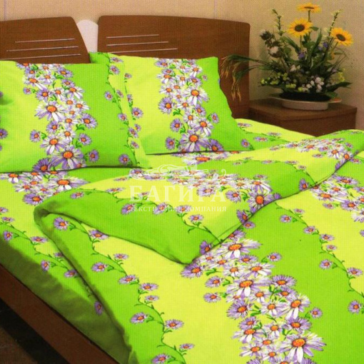 Садовые Ромашки