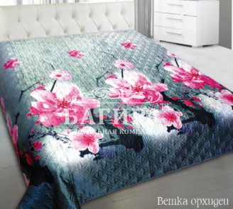 Ветка орхидеи