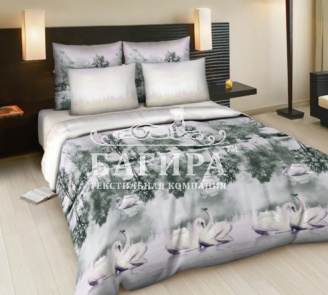 Лебединое озеро