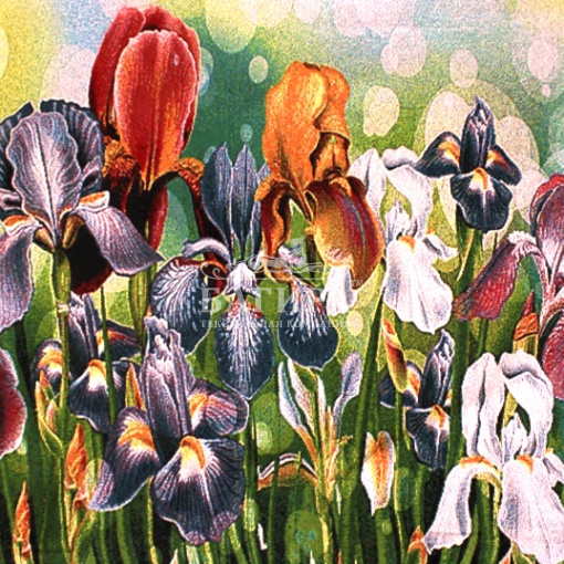 Весенние цветы