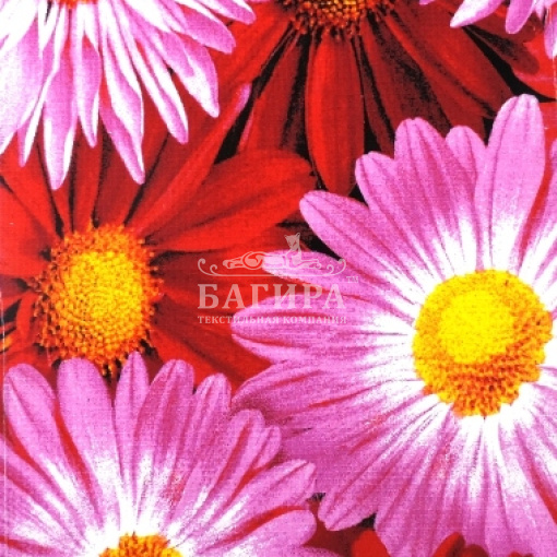 Маргаритки Розовый