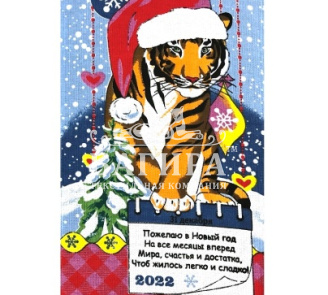 31 Декабря Сизый