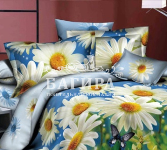 Белые ромашки 3