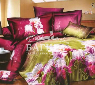 Ирисы фиолетовые