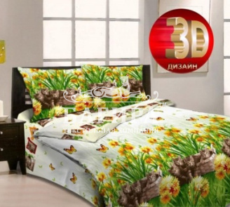 Котята на лужайке