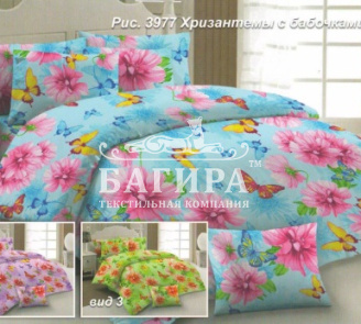 Хризантемы с бабочками вид 3