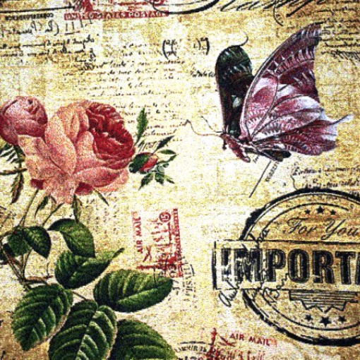 Бабочка и роза