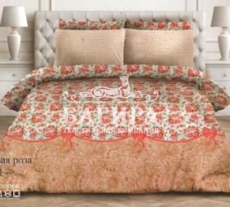 Садовая роза