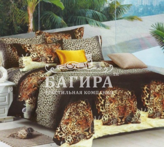 Взгляд хищника