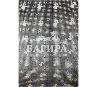 Следы