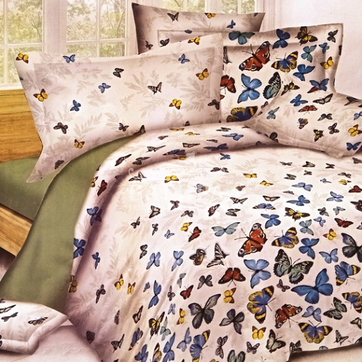 Бабочки вид 1