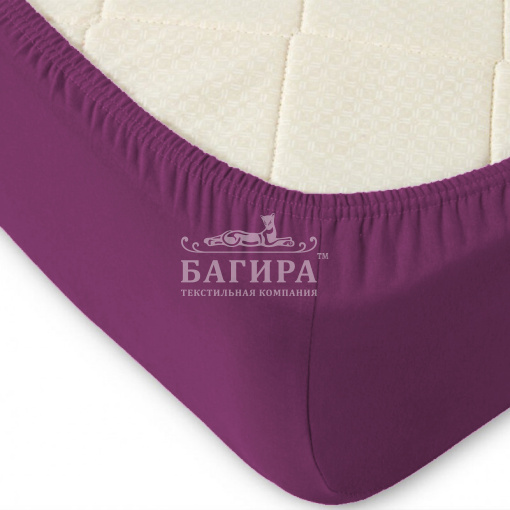 Розовая орхидея