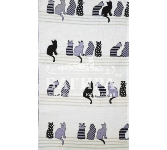 Котики