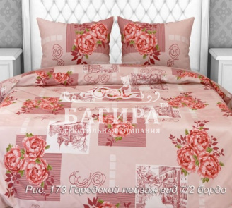 Городской пейзаж вид 7/2 бордо