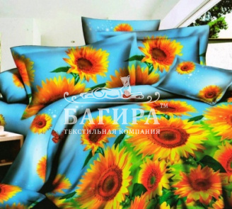 Поле подсолнухов