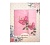 Бабочки Розовый Картинка 10668633