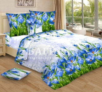 Меланхолия (вид 2)