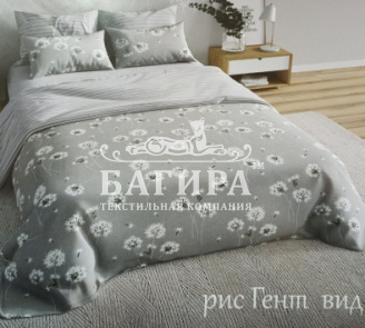Гент вид 1