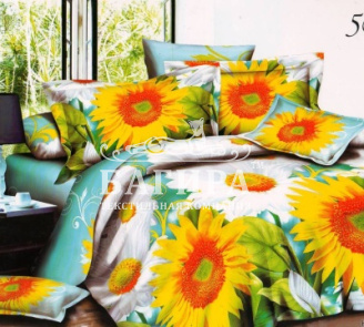 Подсолнух  вид 3