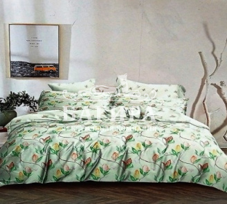 Оранжерея вид 1