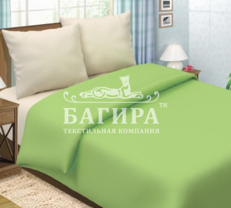 Мохито /с компаньоном