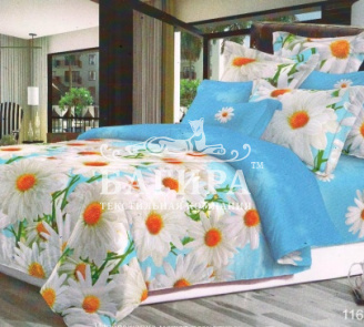 Ромашковое поле