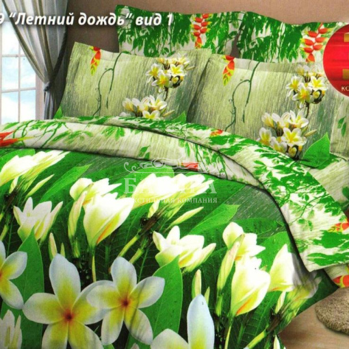 Летний дождь