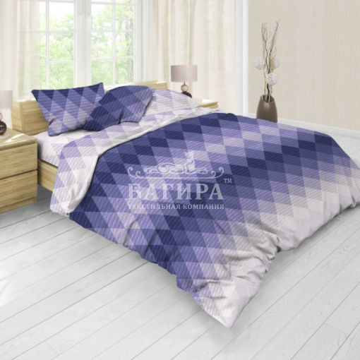 Голограмма вид 1