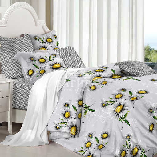 Ромашки полевые