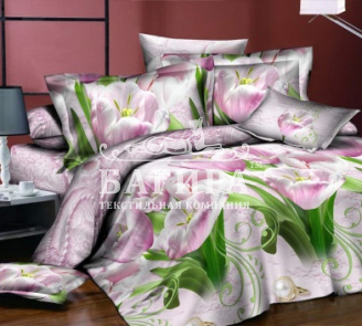 Поле тюльпанов 2