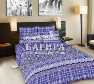 Николет вид 1