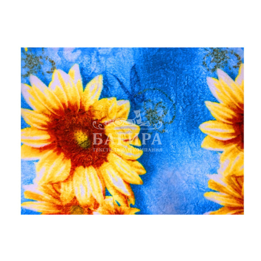 Летнее утро