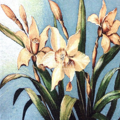 Цветы около озера