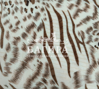 Гепард вид 2