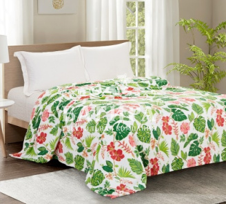 Флорида (софт)