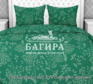 Барбарис бирюзово-зеленый