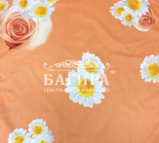 Ромашки на розе