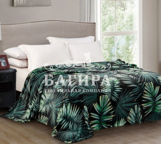 Монстера (софт)