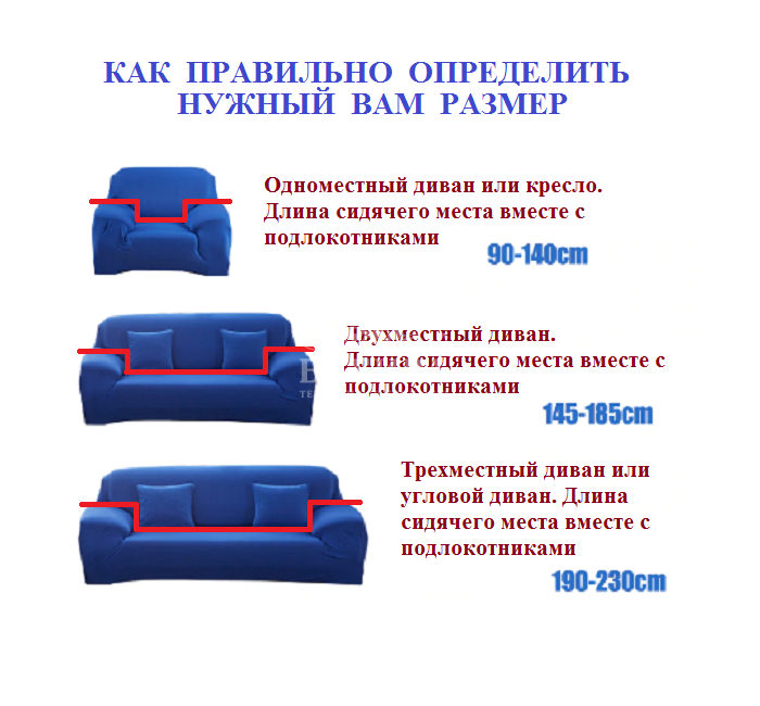 Ветвь