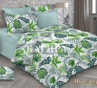 Монстера вид 1