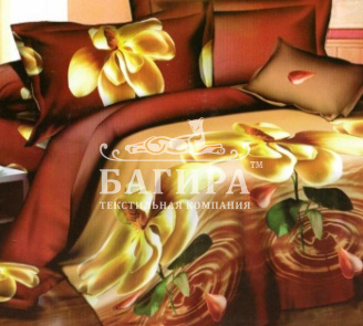 Желтая орхидея