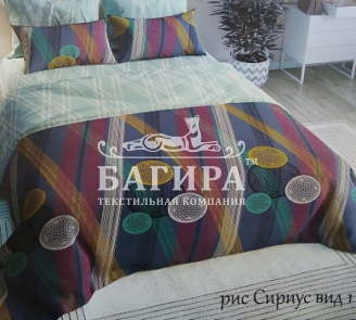 Сириус вид 1