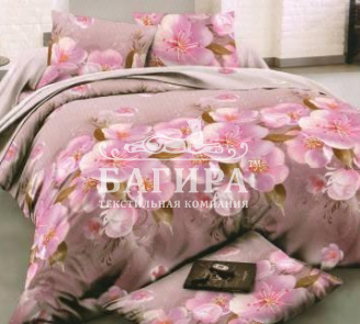 Яблоневый  цвет