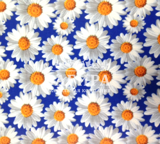Ромашки синий