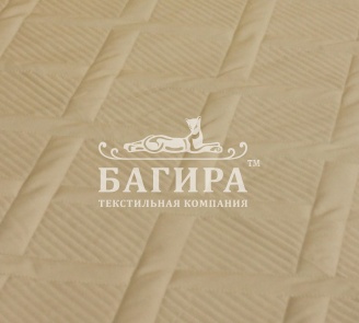 Шампань